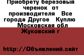 Приобрету березовый черенок  от производителя - Все города Другое » Куплю   . Московская обл.,Жуковский г.